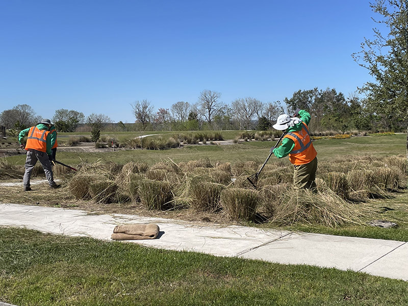 Crews working on grass cutbacks photo