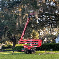 Why Aren't All Tree Maintenance Services Included in my Landscape Maintenance Contract photo