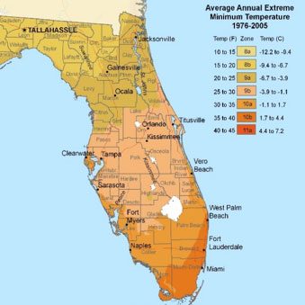 Are the USDA Hardiness Zones Important for Florida photo