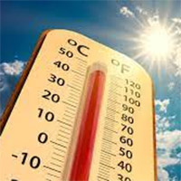 Safety in the Sun: Signs of Heat Stress and How to Help photo