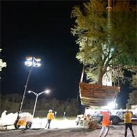 Relocating Nearly One Million Pounds of Trees Over the Course of Two Nights photo