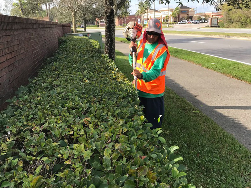 Landscape Management photo